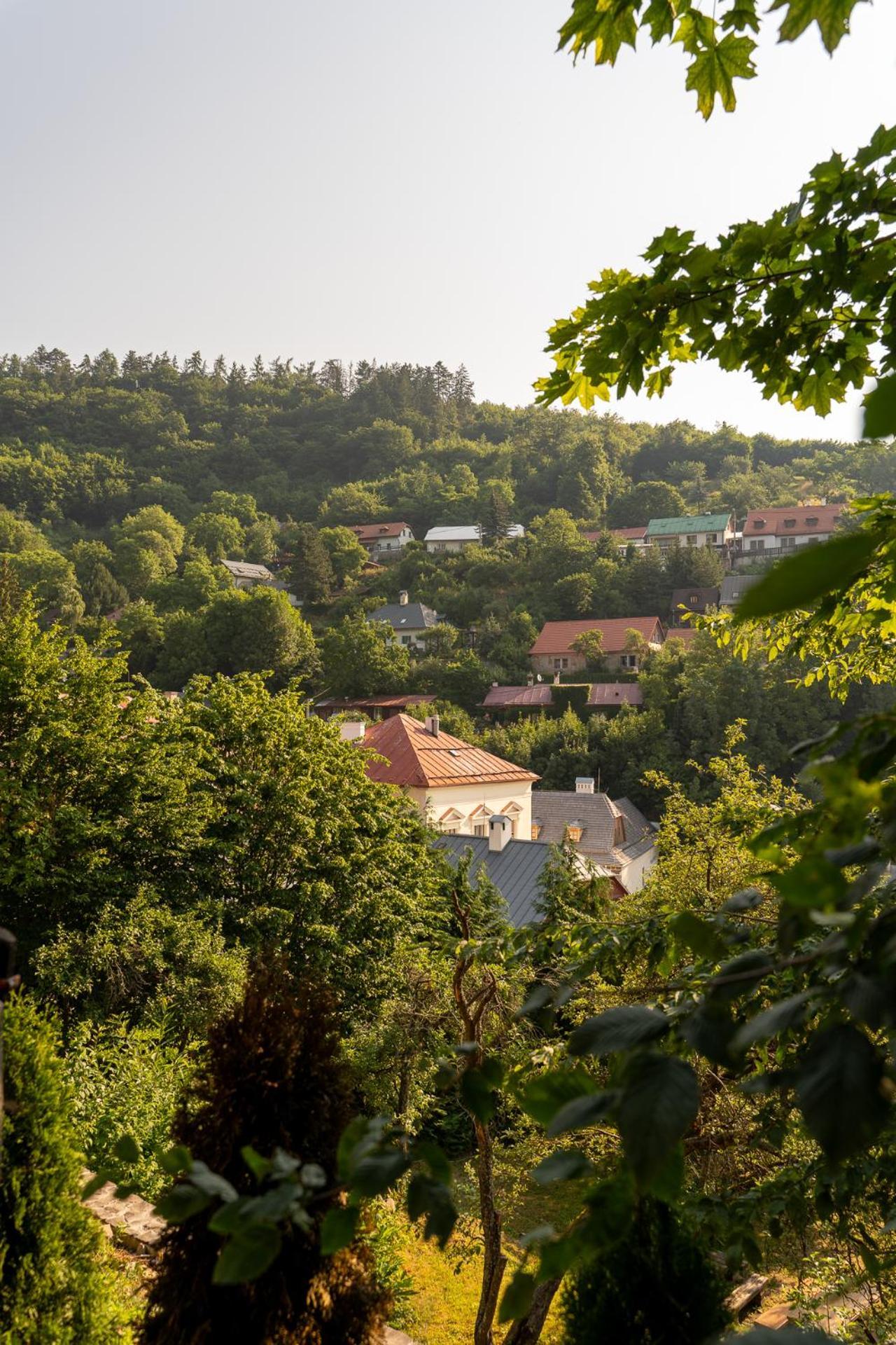 Penzion Prijemny Oddych Banska Stiavnica Exterior photo